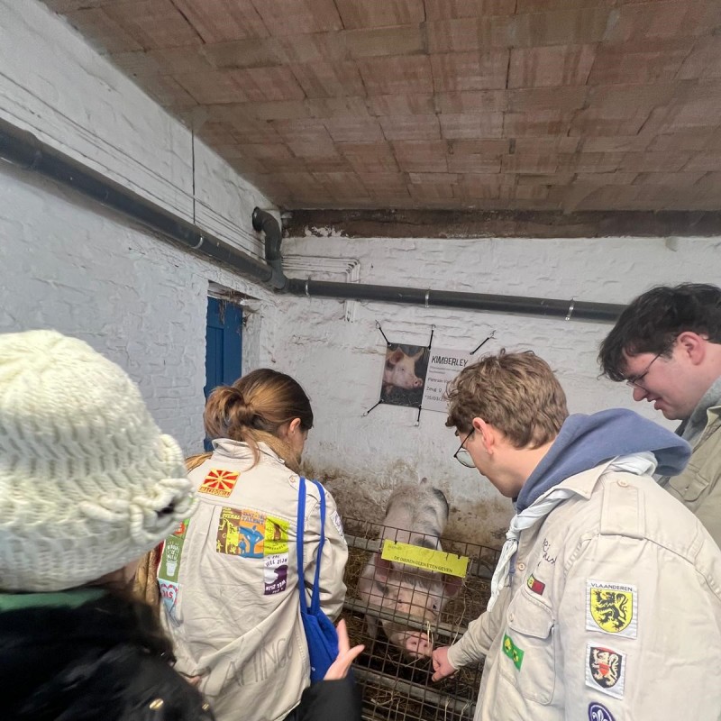 WhatsApp Image 2026-03-01 at 16.59.45  4 - Scouts en Gidsen Zaventem 